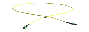 MTP/MPO Trunk